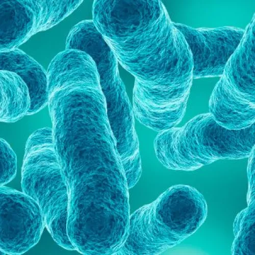 Control higiénico-sanitario de instalaciones susceptibles de proliferación de microorganismos nocivos y su diseminación por aerosolización- Legionella